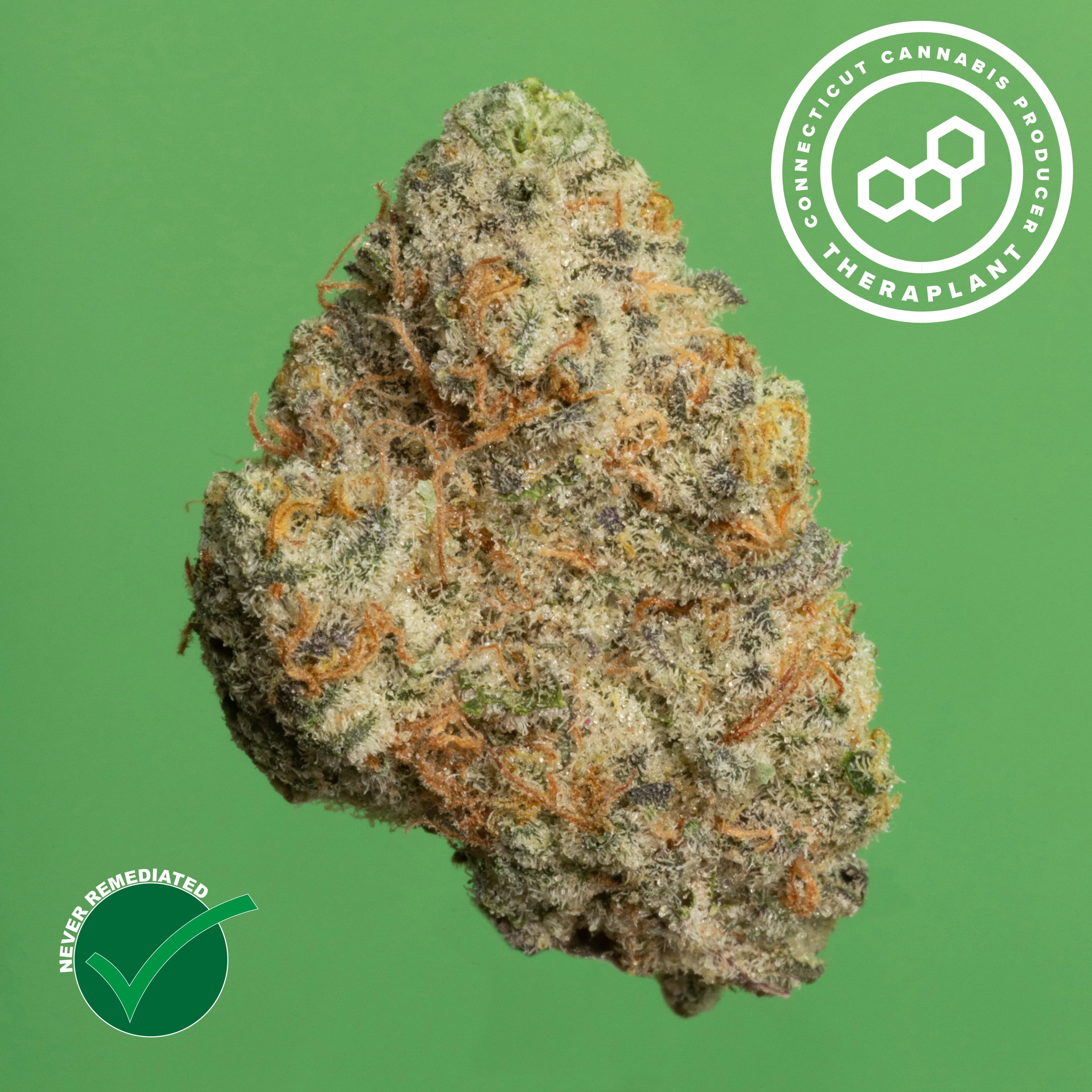 Theraplant Gas Facе 42017