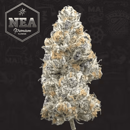 NEA Premium