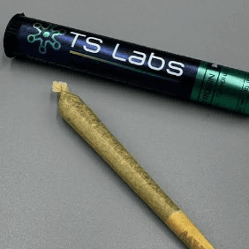 TS LABS TRICHO JORDAN