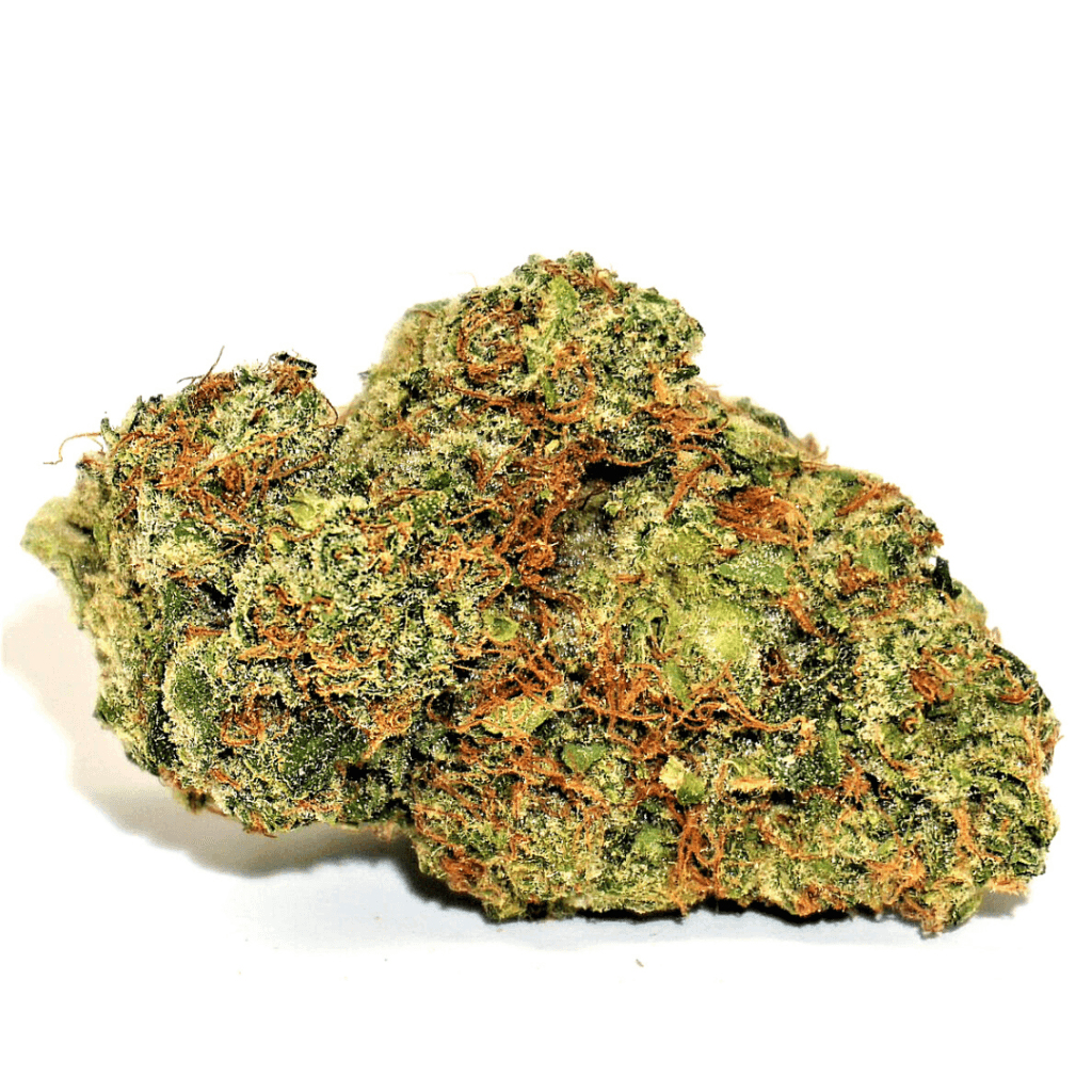 Anthologie Flower - Lilac Diesel