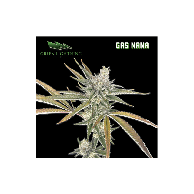 GREEN LIGHTNING