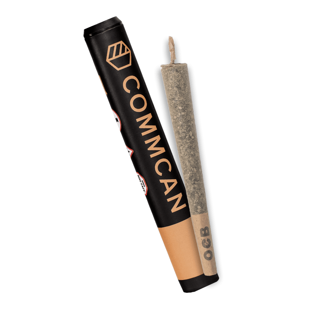 CommCan Daily Special Pre-Roll