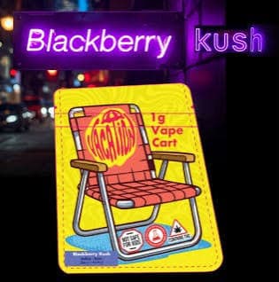 Vacation Blackberry Kush | 1g Cartridge