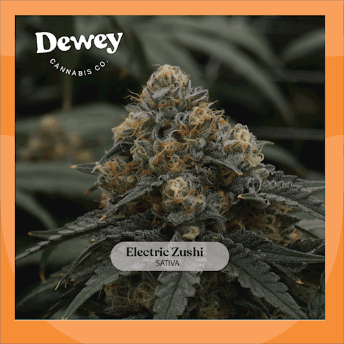 Dewey Cannabis Co. Electric Zushi (DOH)