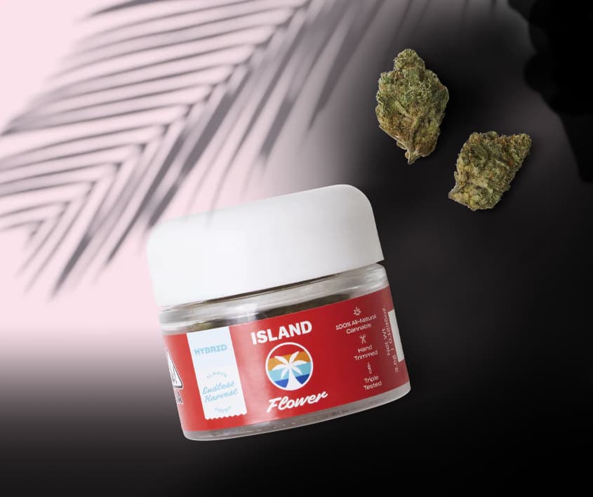 Island ISLAND Planet of The Grapes 1/8
