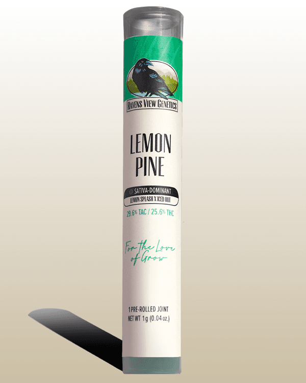 Ravens View Genetics Lemon Pine | Pre-Roll
