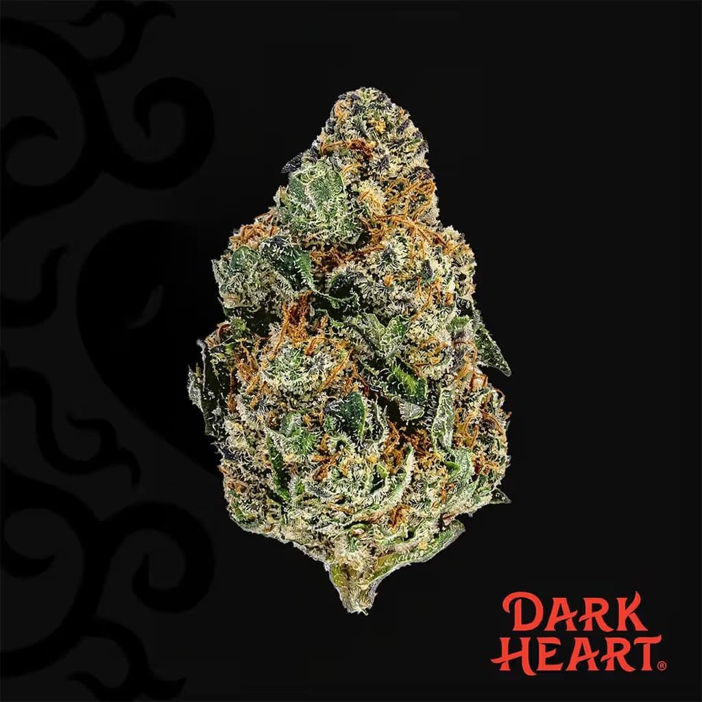 Dark Heart