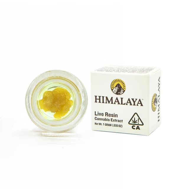 Himalaya $25 - Burger 41 (Live Terp Sugar) - Himalaya - 1g
