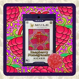 Mule Extracts Raspberry Pomegranate (I) Mini Kickers Gummies | 10 Pieces (100mg)