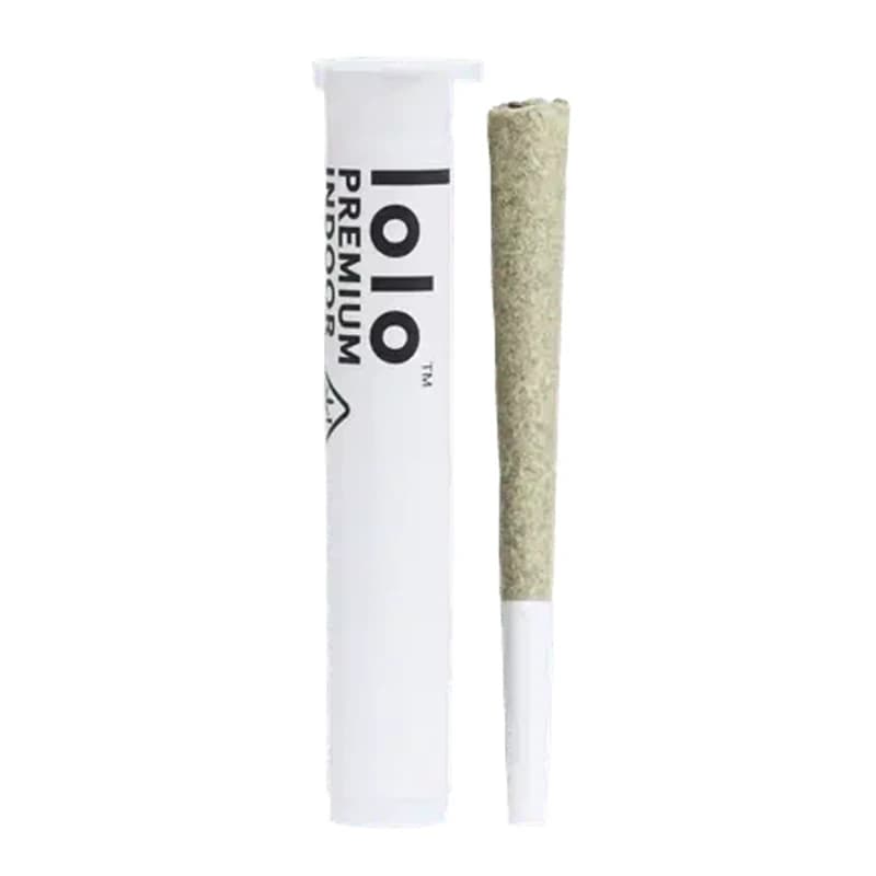 LOLO Tangerine Cream Pre-roll Single 1G