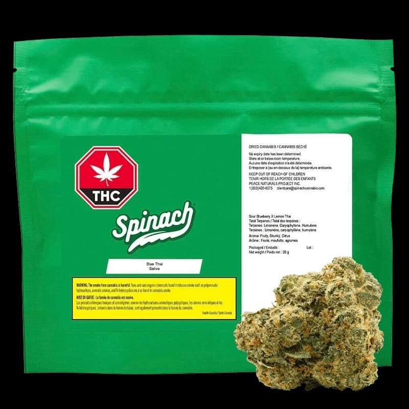 Spinach Spinach Blue Thai 28g