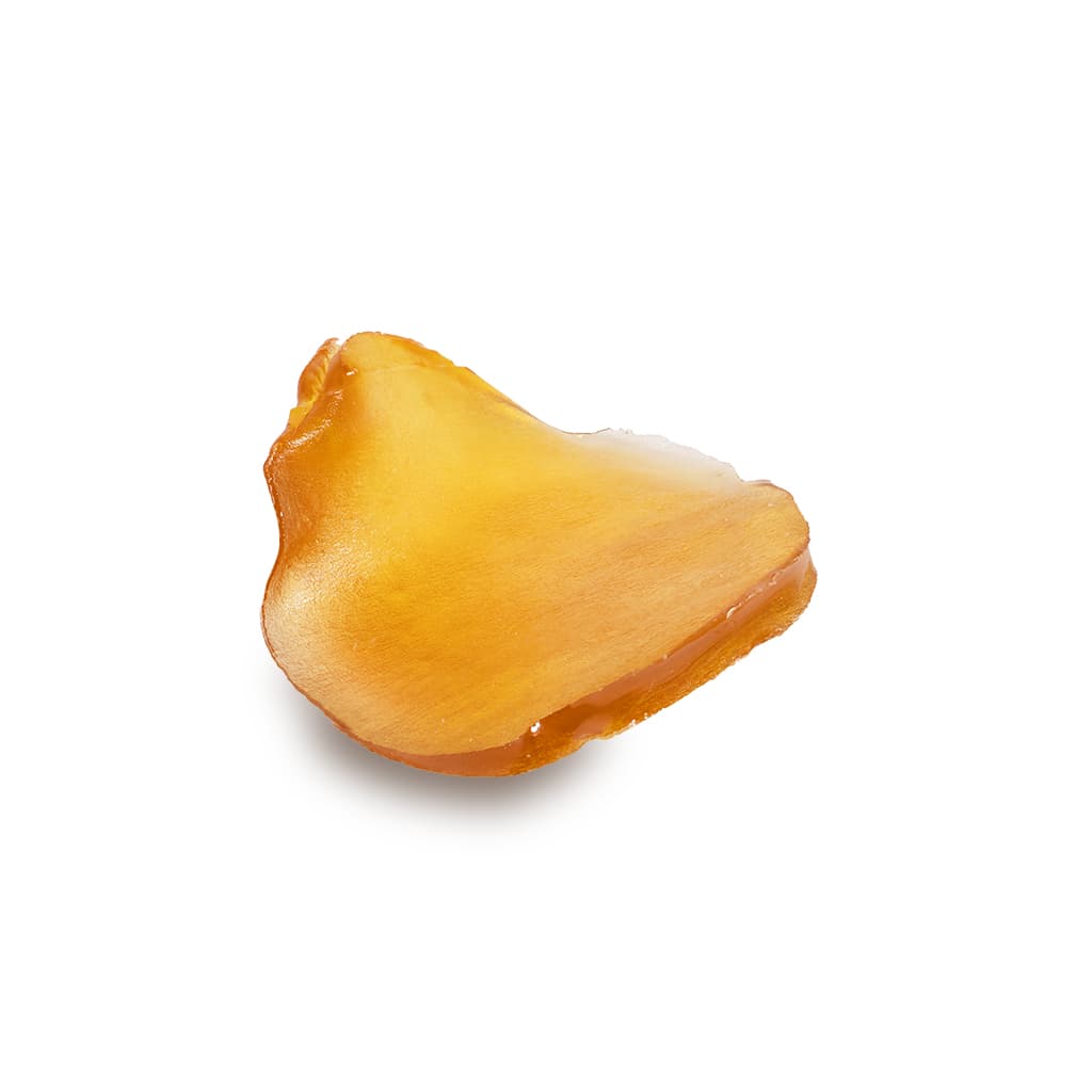 Equity Extracts Equity Shatter - Red Zushi