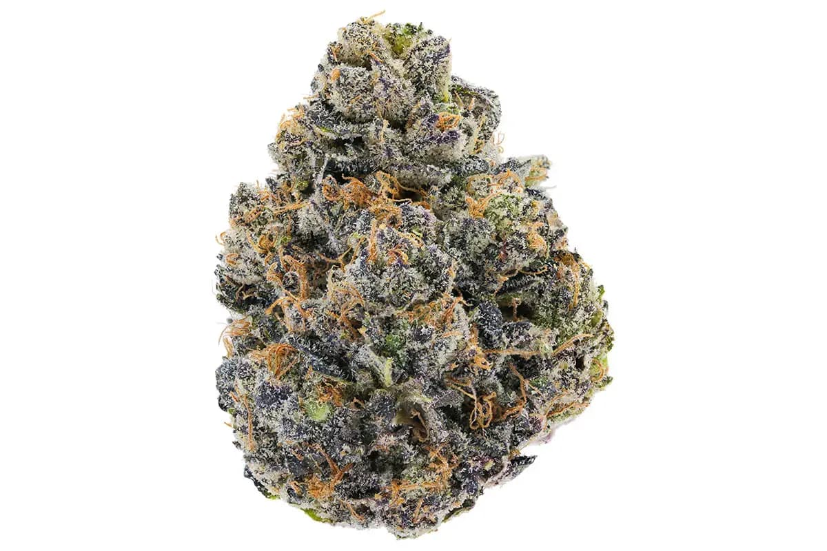 LIT FRUIT FUNK - TOP SHELF - 14 G
