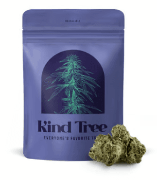 Kind Tree Cherry Diesel | Small Flower | 7g