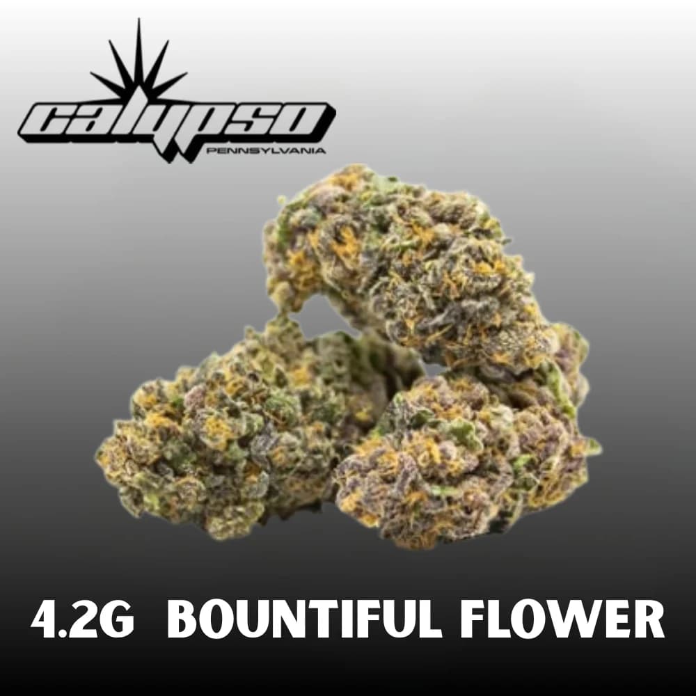 Calypso Giraffe Kitty | 4.2g