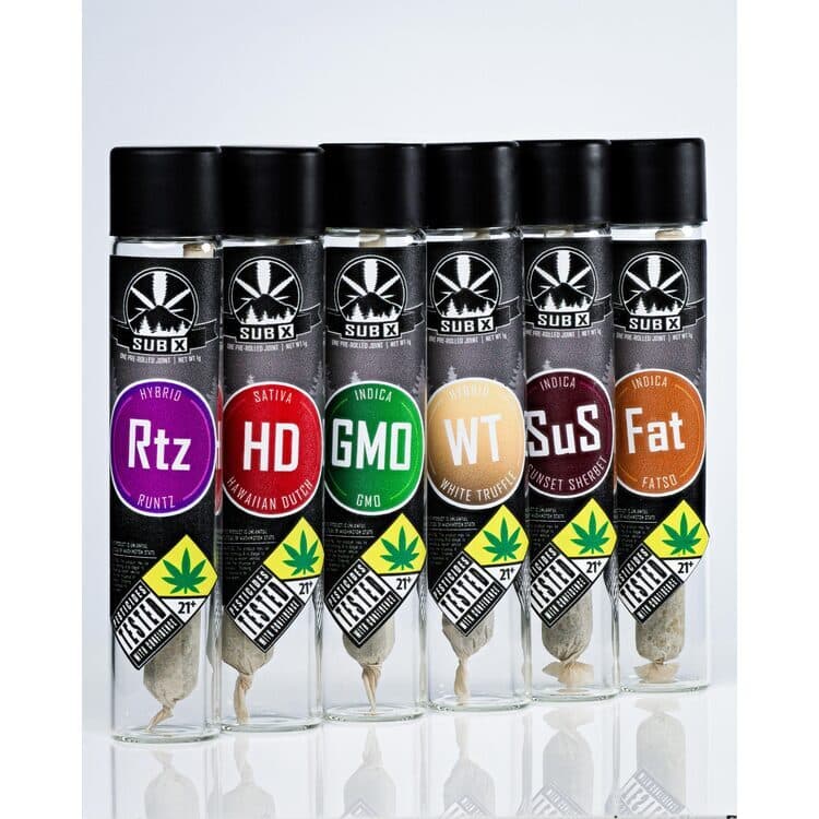 SUBX SubX: Gastronomical - PR 2pk