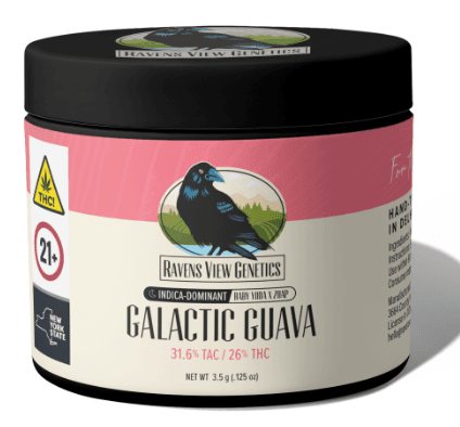 Ravens View Genetics Galactic Guava