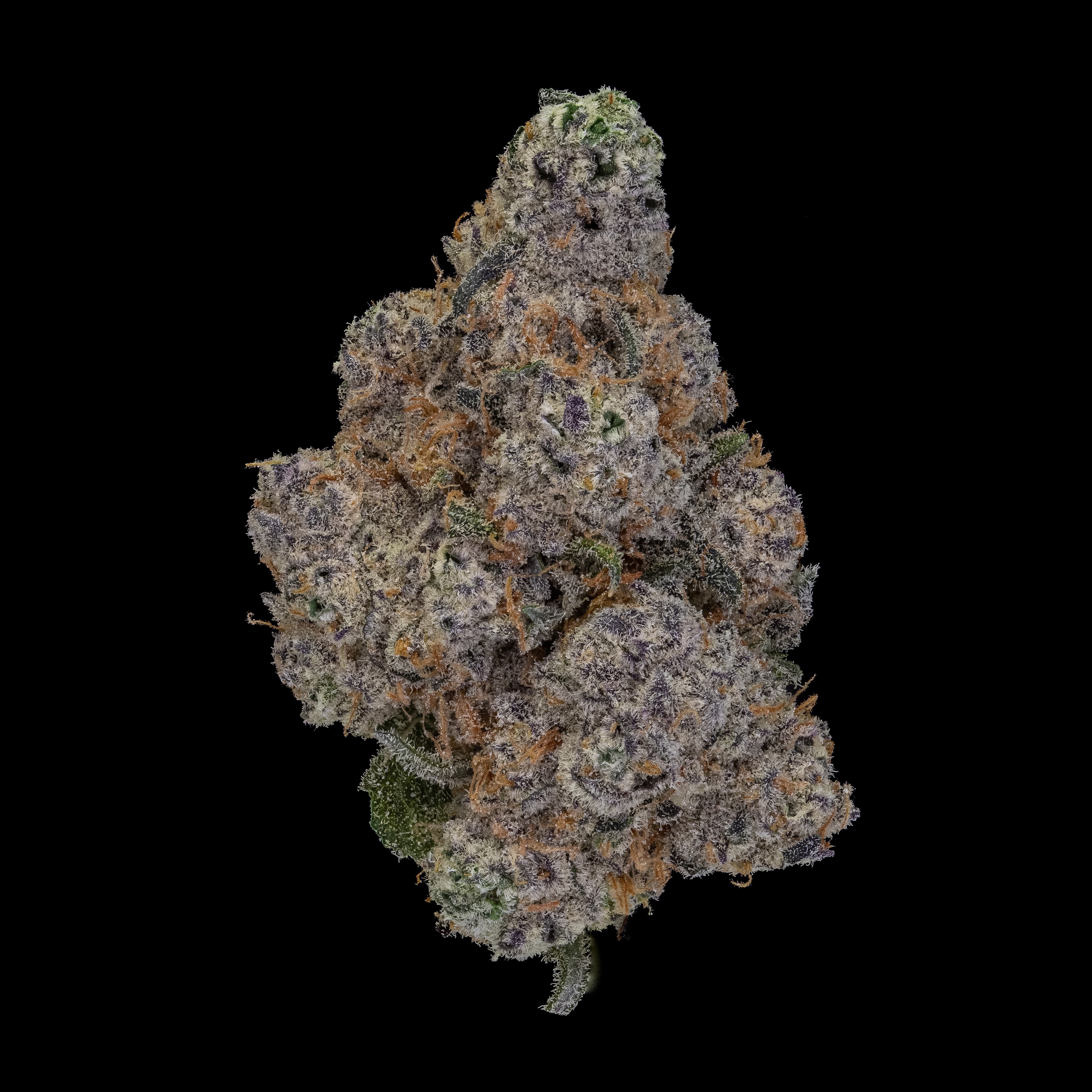 NoBo Cannabis Deep Space - Small Buds