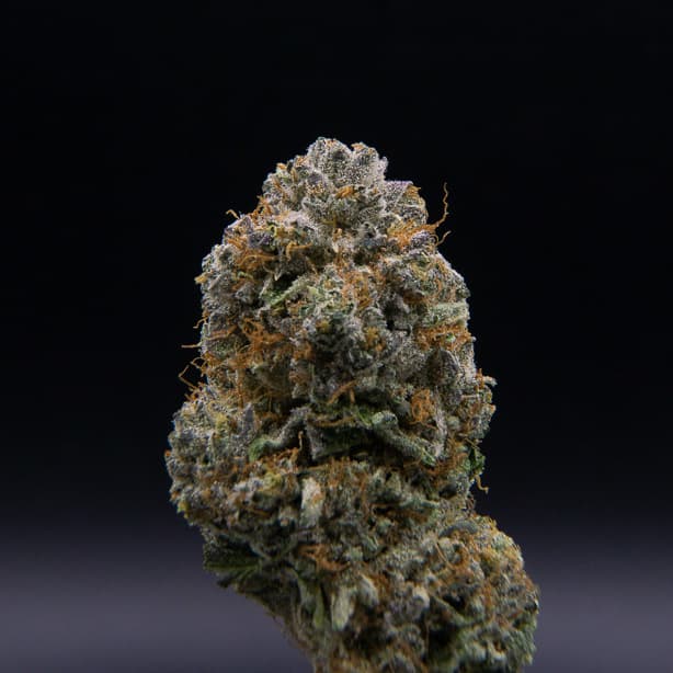 NoBo Cannabis Blockberry