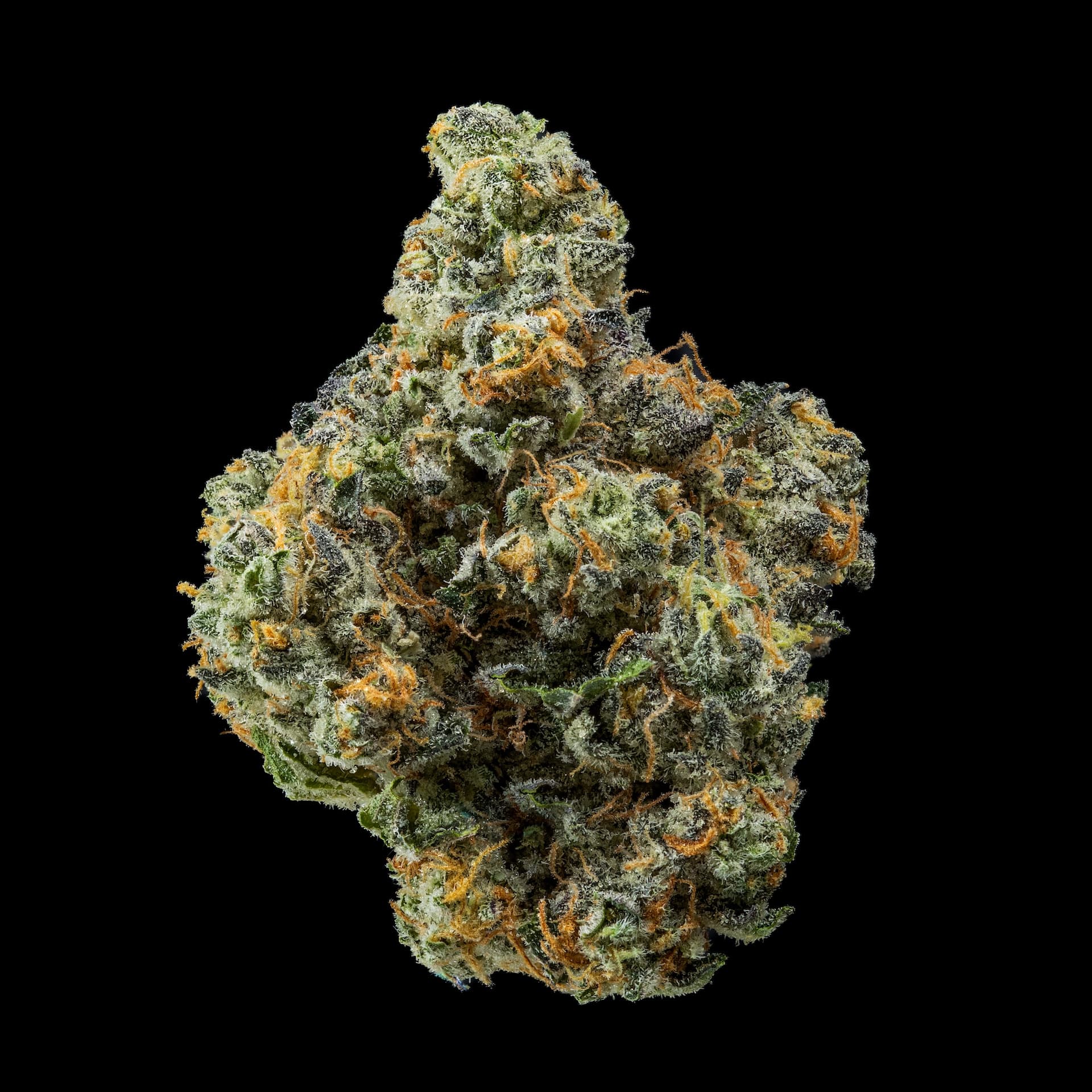 NoBo Cannabis Wedding Fuel