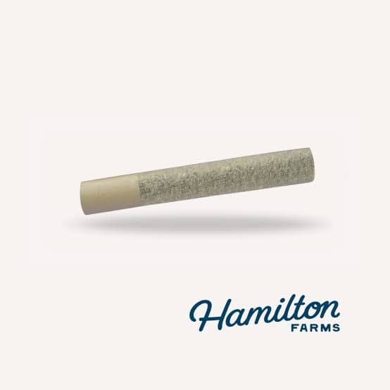Phenos Panama 2k - 1g Pre-Roll