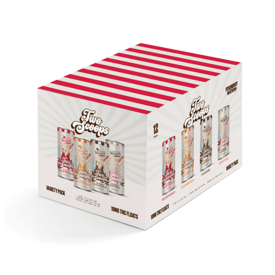 Foundry Foundry Nation Two Scoops - | Variety 12-Pack | 120mg