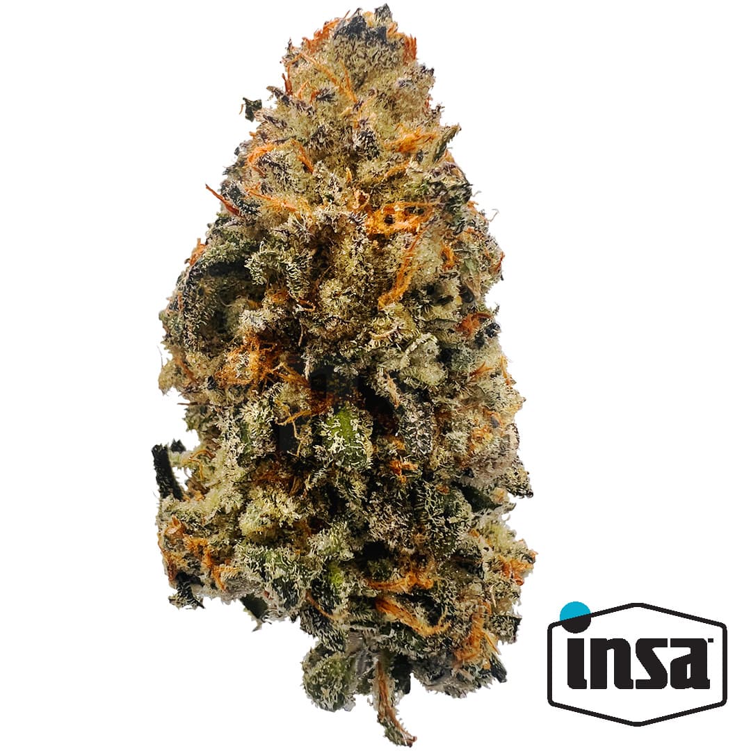 Insa Grower's Reserve Blue Ckies Flower 3.5g