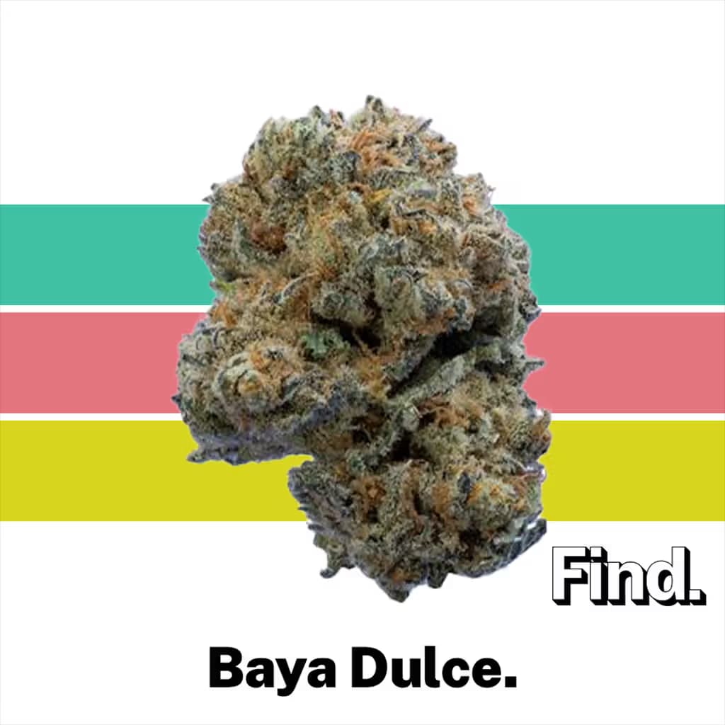 Find. Baya Dulce