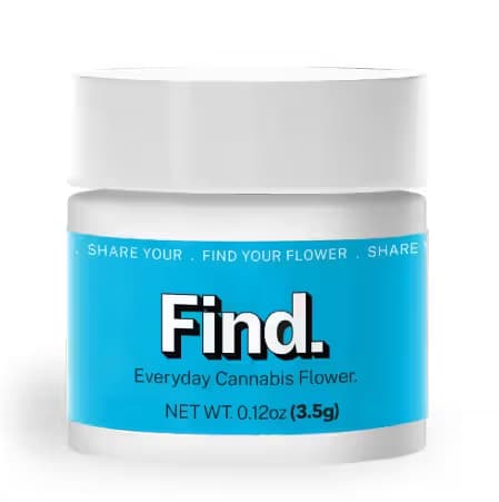 Find. Agent Z