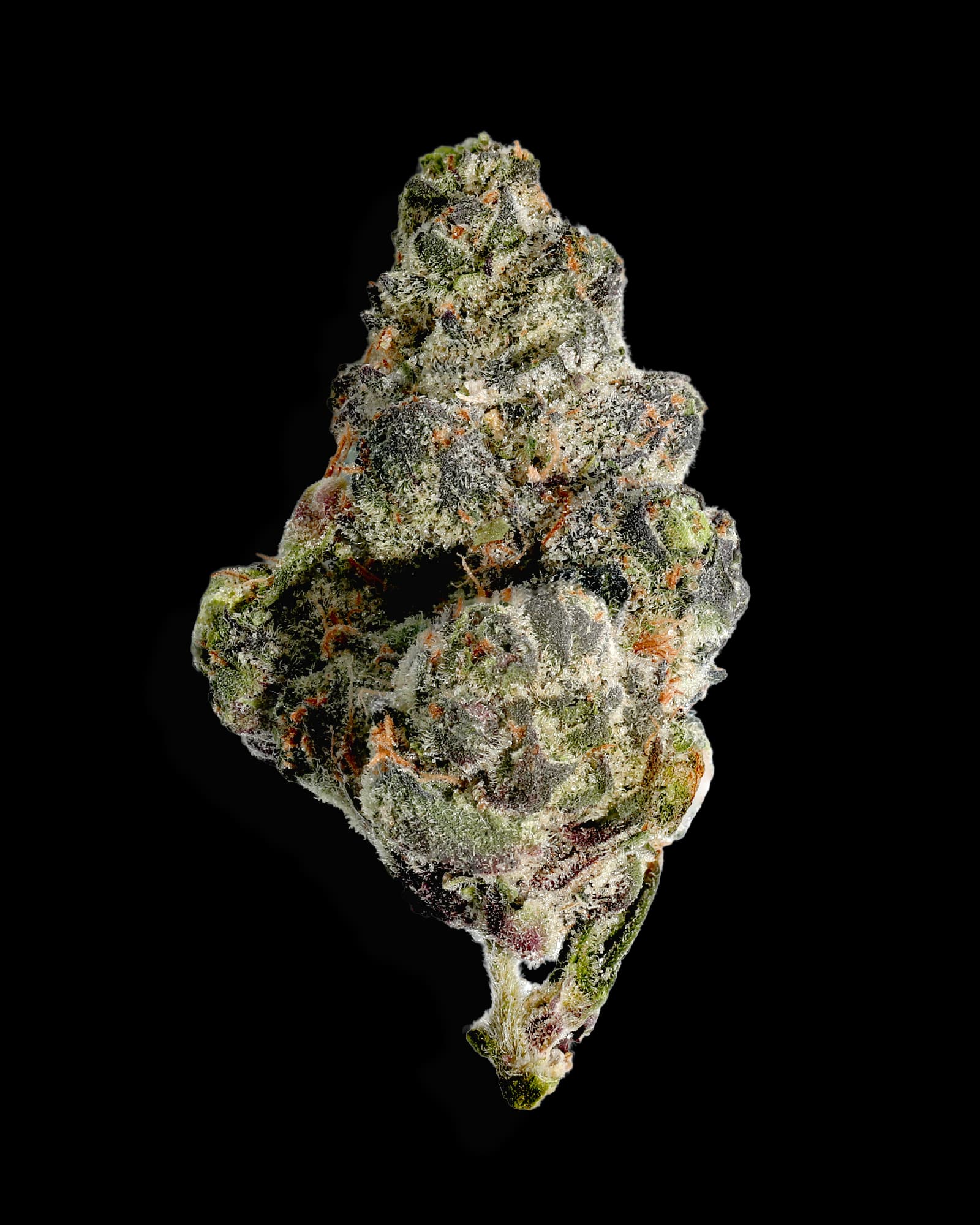 Northwoods RUNTZ AF 1OZ