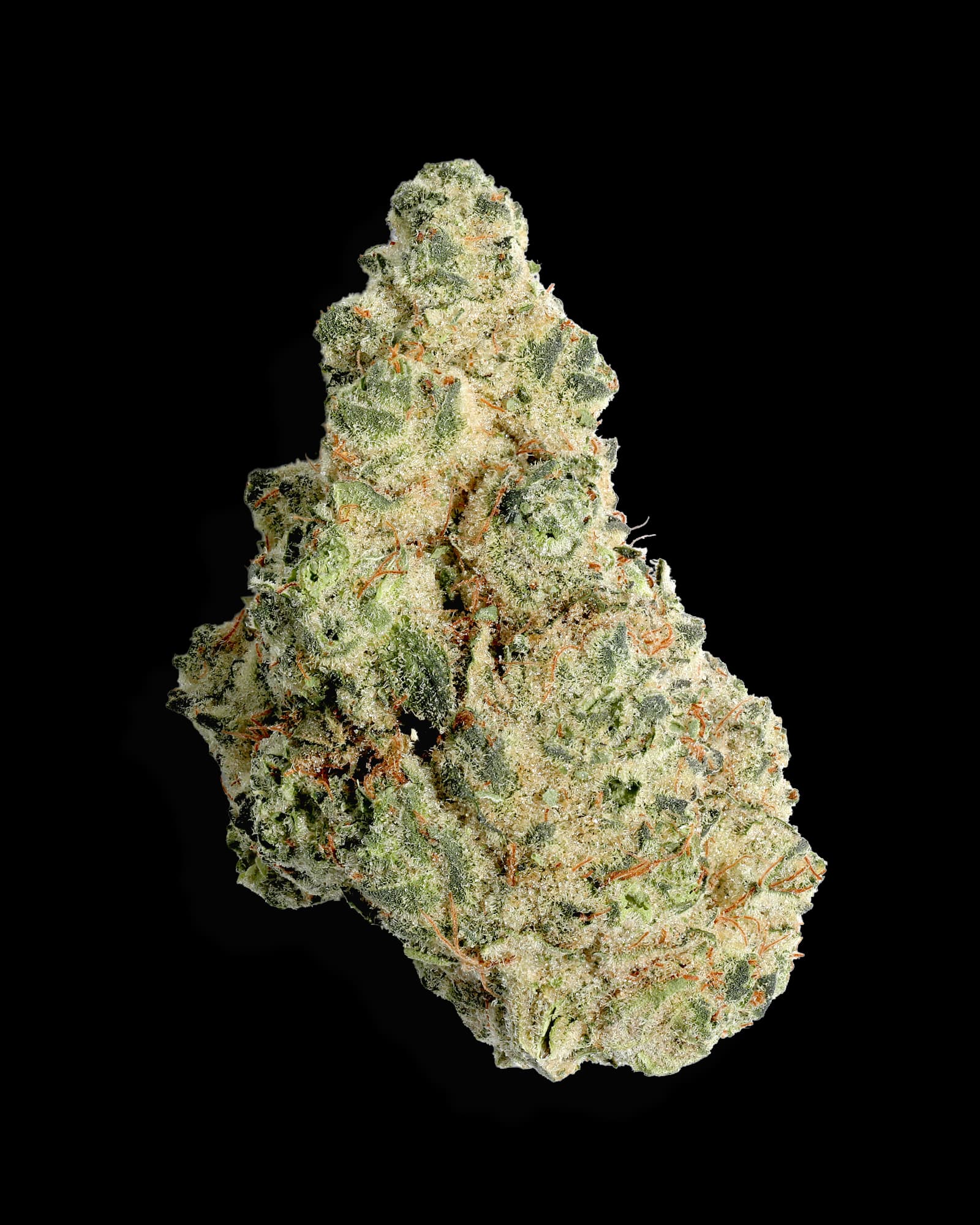 Holistic Industries GUMBO LIMBO #35 1OZ