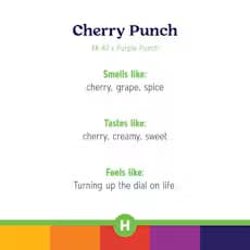 R.O. Cherry Punch Ground