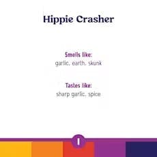 R.O. Hippie Crasher Ground