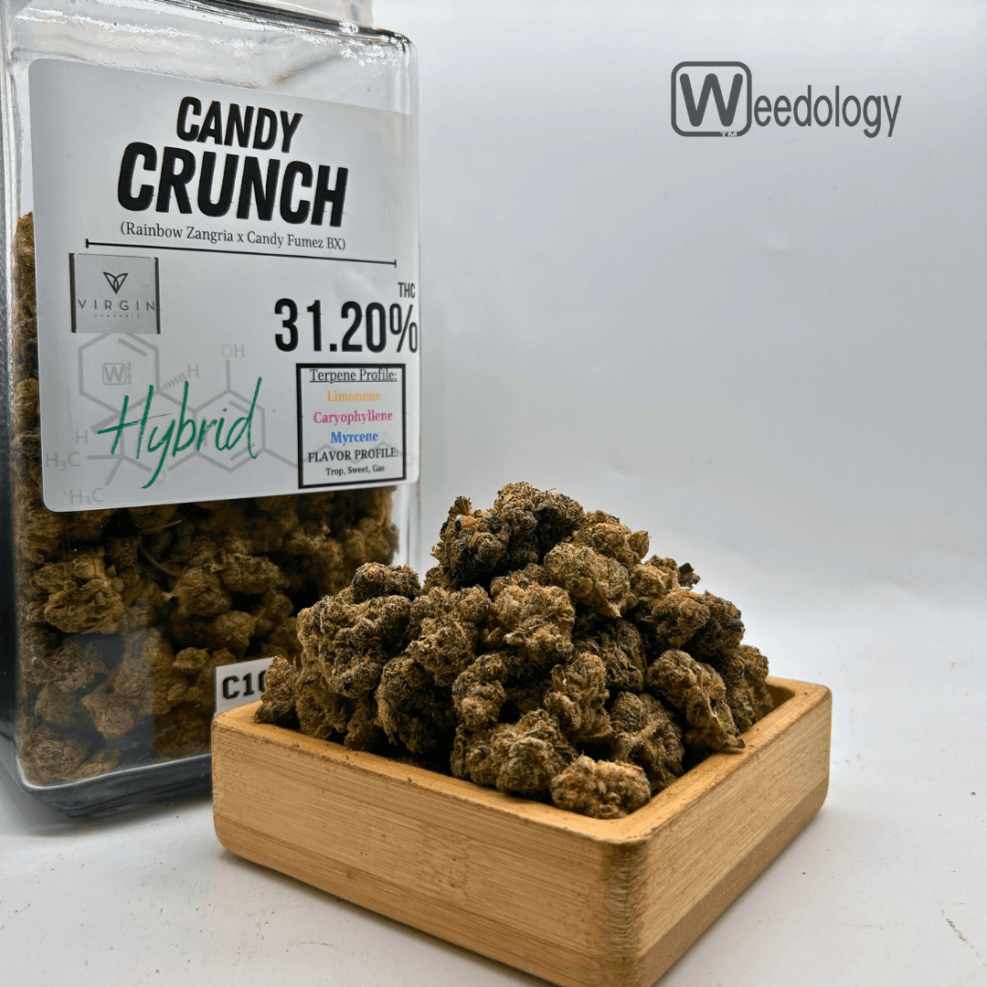 Virgin Cannabis Candy Crunch (H)