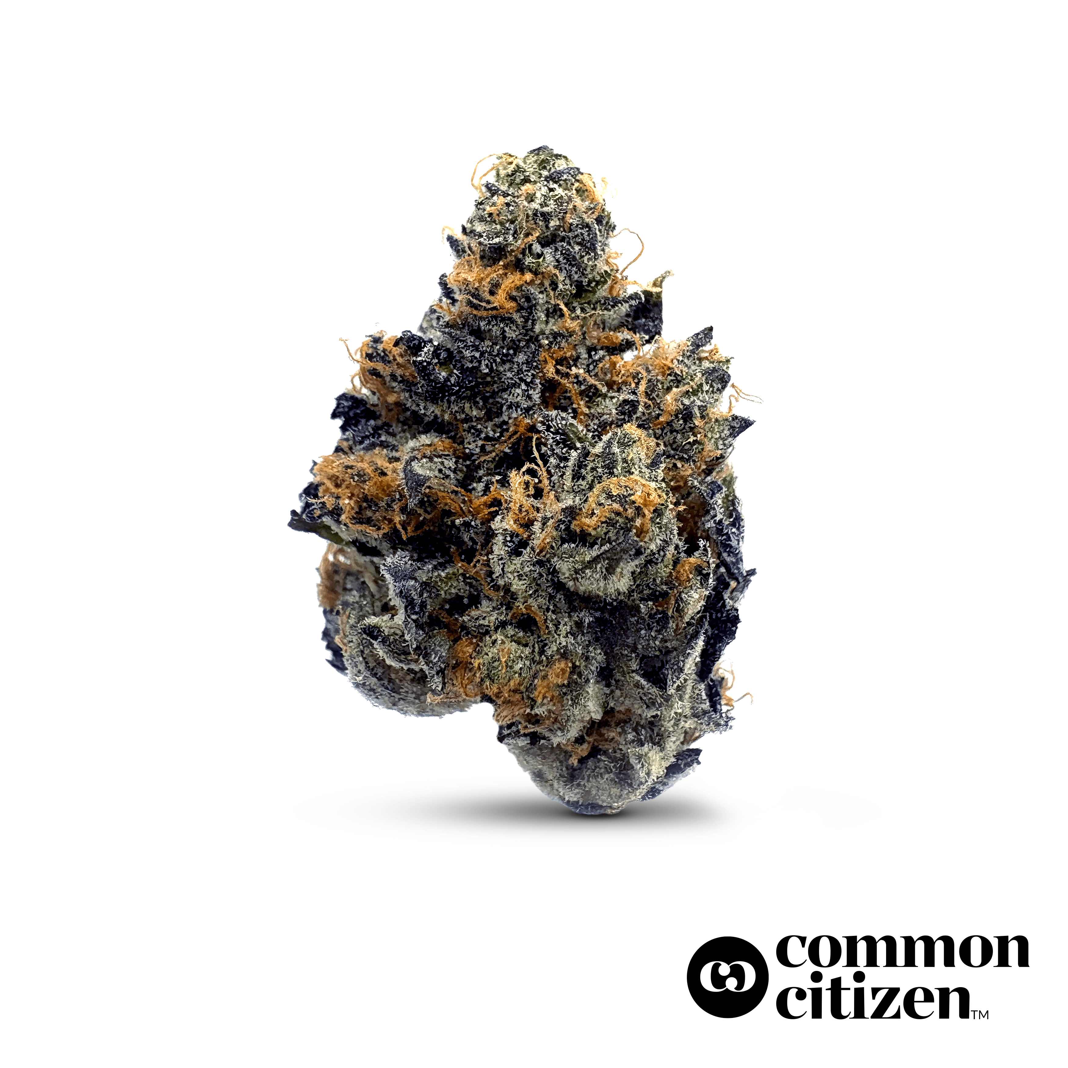 Common Citizen Tropic Like It's Hot | 14g