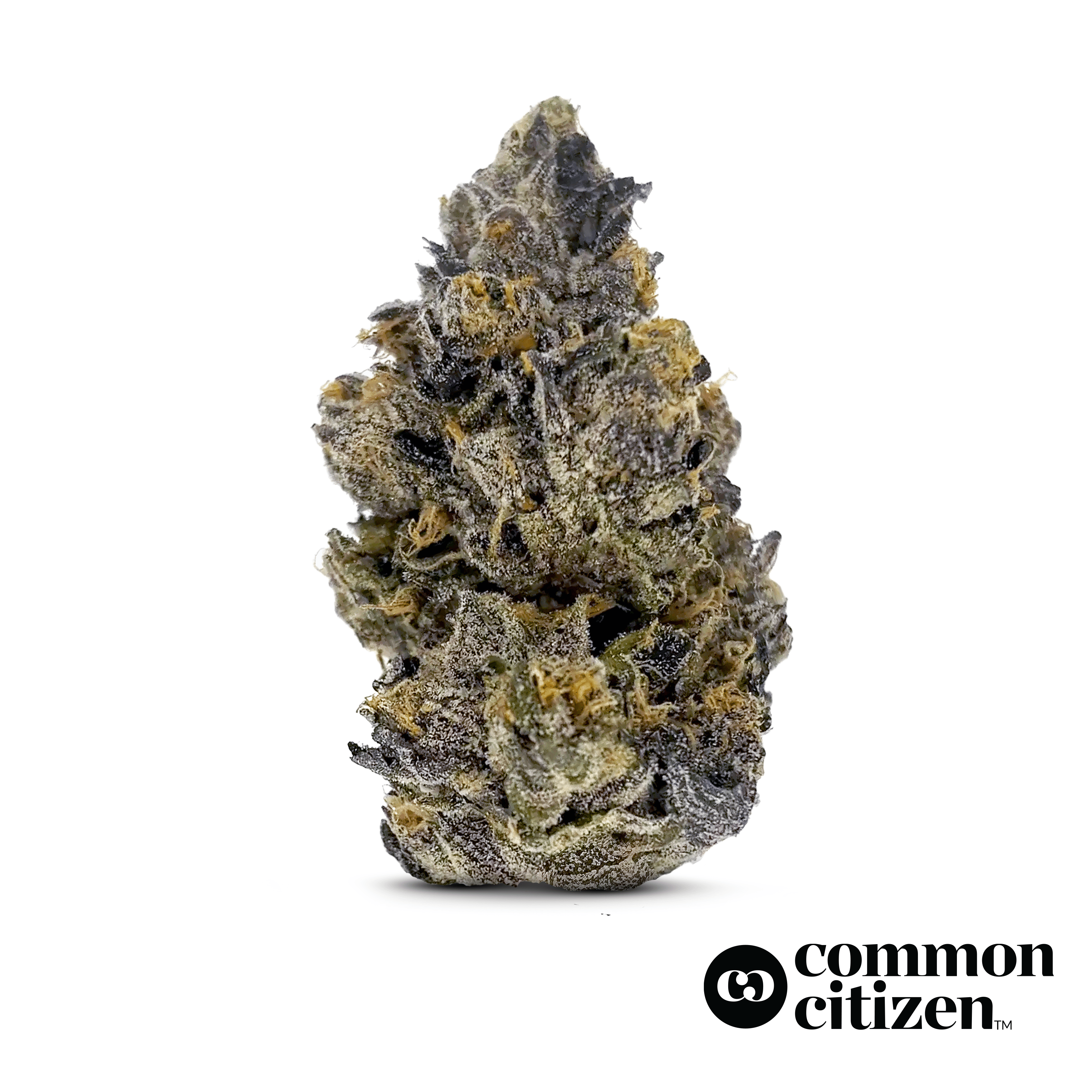 Common Citizen Yinz | 7g