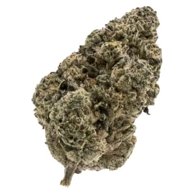 FIGR MELLOW MAN DF By FIGR - (I)
