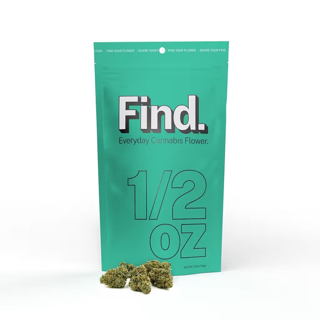 Find. Bloopers