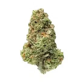 Campfire Cannabis Cap Junky