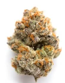 The Green House Grape Octane - (H)
