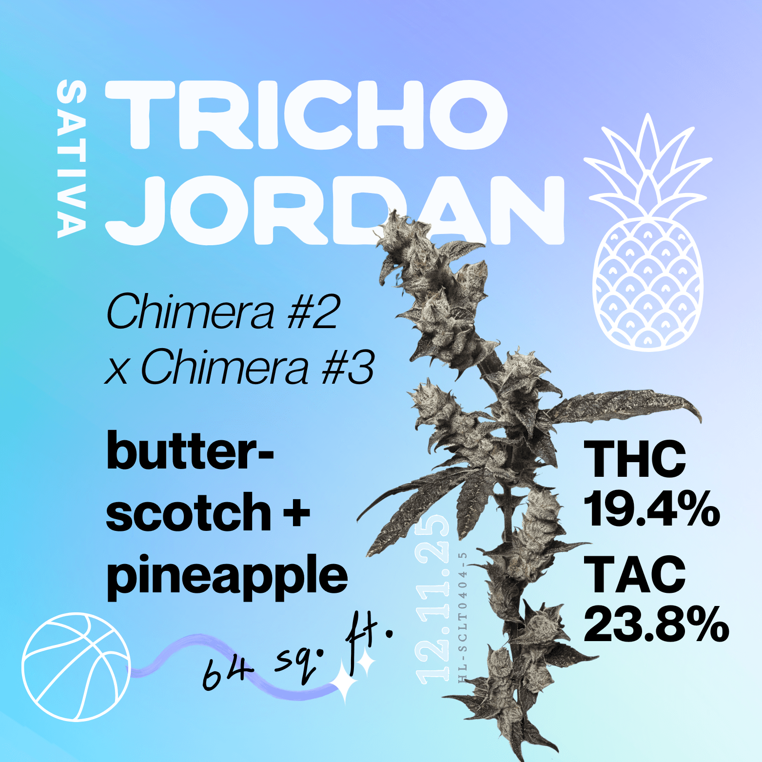 North Node Gardens North Node Gardens - Tricho Jordan - 1G Pre-Roll