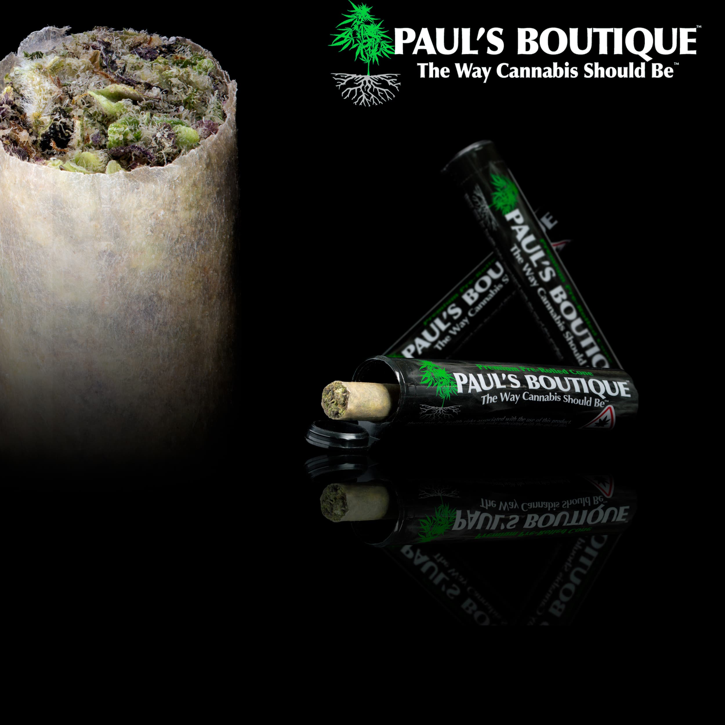 Paul's Boutique PAUL - Thai x ECSD - Pre-Roll