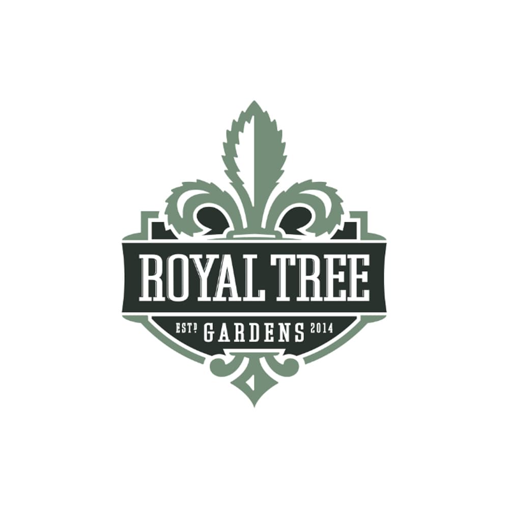 Royal Tree Gardens Jealousy x Trop Tarts