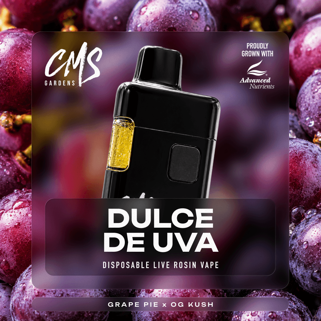 CMS Gardens Dulce De Uva [1000mg]