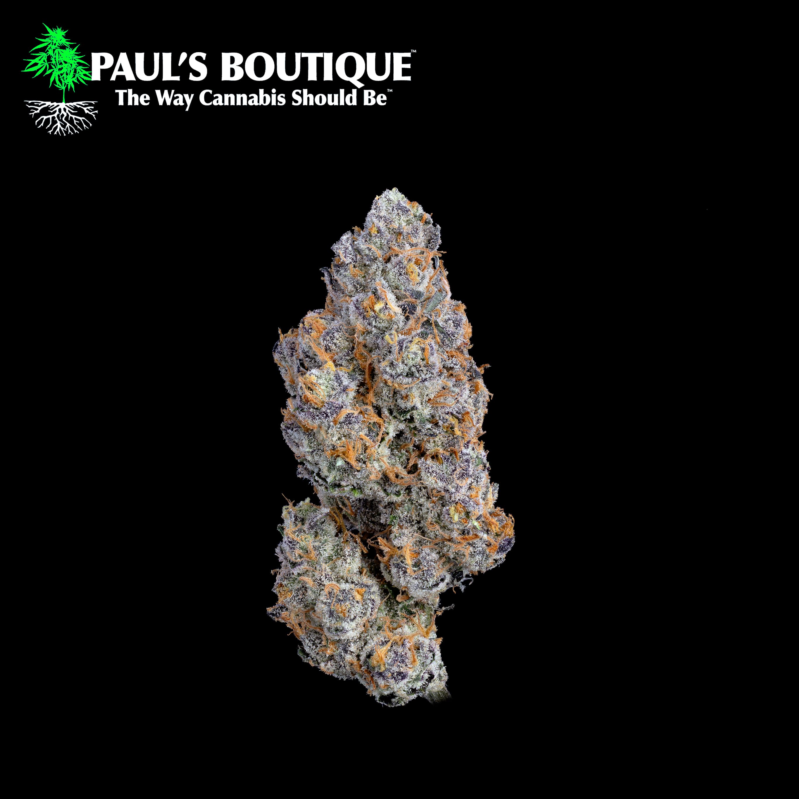Paul's Boutique Carbon Fiber | Flower