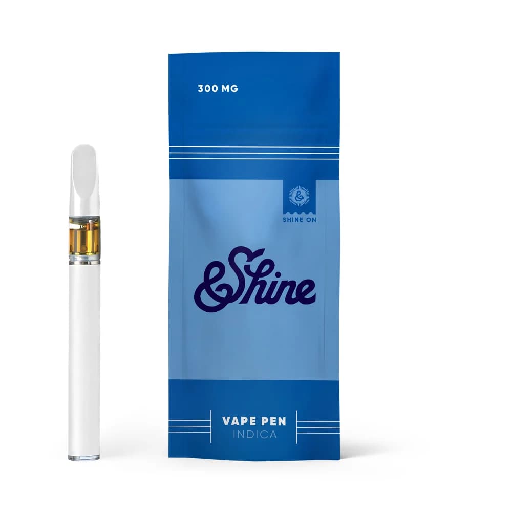 &Shine Ice Cream Cake [2g]