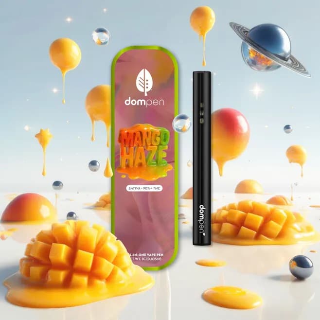 dompen™ Dompen: Mango Haze Disposable Vape