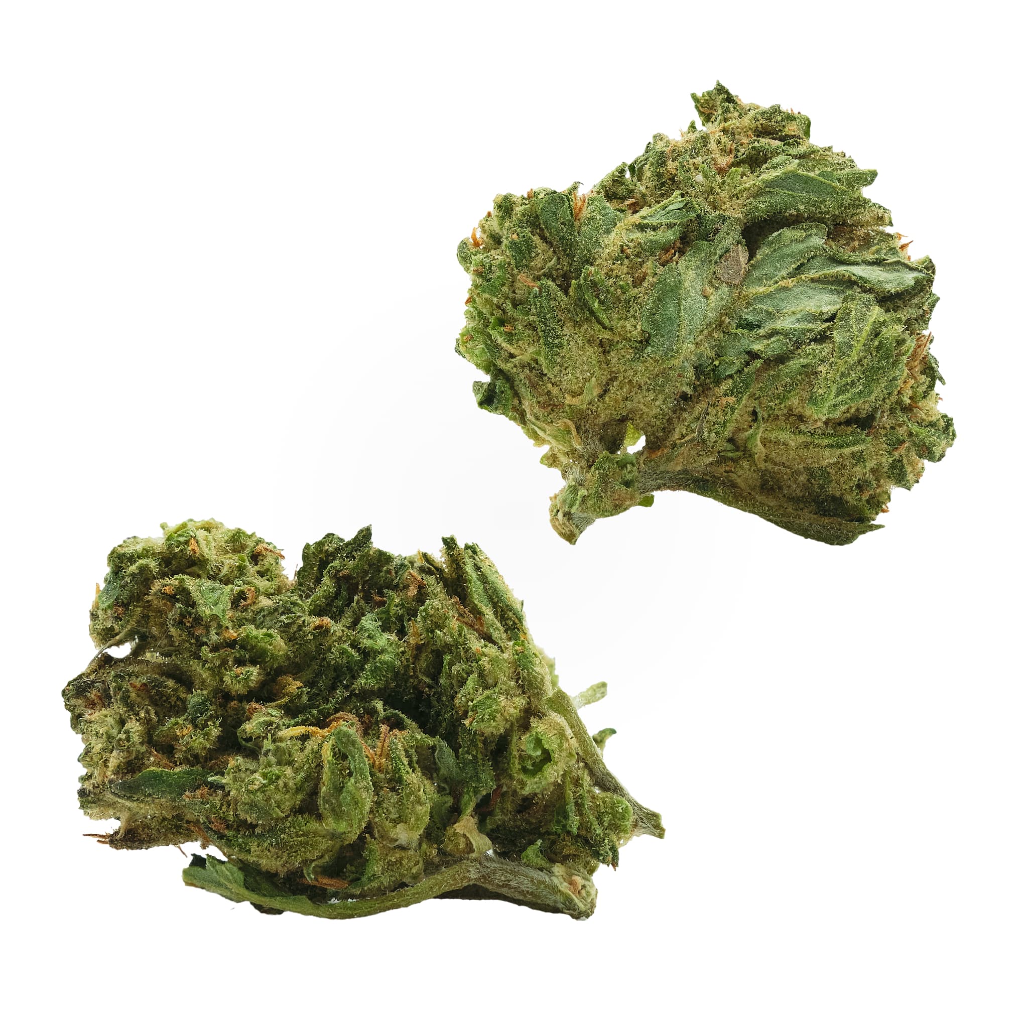 OG Farms