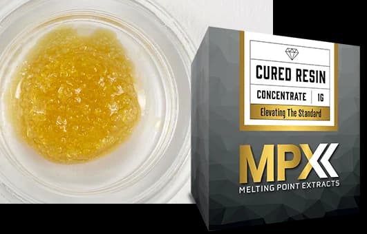 MPX MPX: Cured Resin | Astrozone | Sugar | 1g