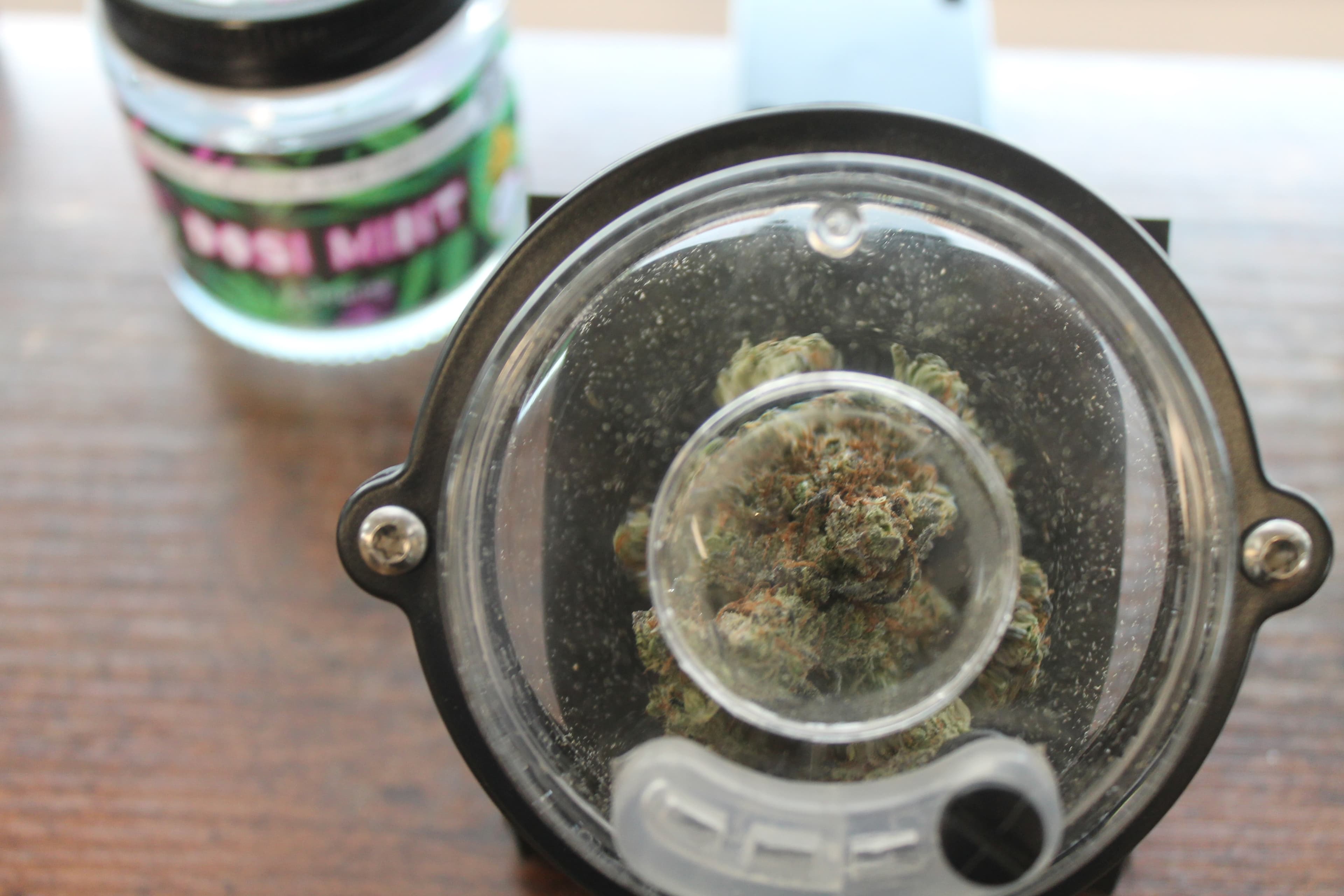 Bushy Beard Bushy Beard | Dosi Mint